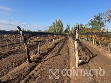 Carril viejo a San Carlos