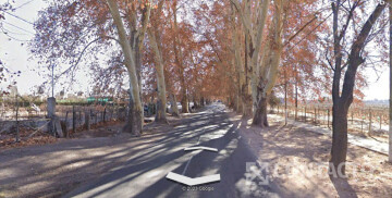 8 Has Ruta 15, Agrelo - IDEAL LOTEO