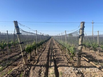 Ruta nac. N°40 S/\N° Esq. publica S/\N° (a 176.40m del km 49).