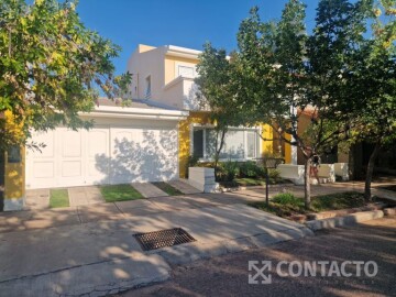 B° Furlotti - Palma s/\n