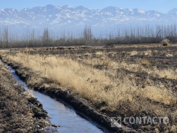 5 Has Niveladas. Miguel Silva (RP No. 90). 