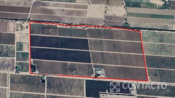 Callejón de servidumbre s/n° con salida a la legua. El Carrizal