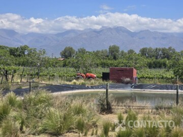 6 Has en Vista Flores- Tunuyán