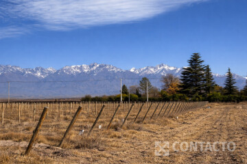 2 Has sobre asfalto- Vista Flores, Tunuyán