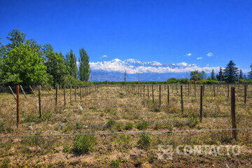 2 Has Clodomiro Silva s/n - Vista Flores, Tunuyán