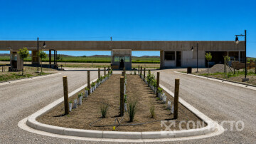 Tupungato Valley - RP N°88
