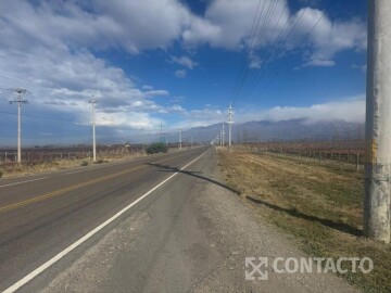 RUTA PROVINCIAL N° 89 - CALLE LOS ARBOLES SIN NUMERO