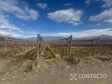 Calle los arboles S/N° con frente sobre RUTA PROVINCIAL N° 89 